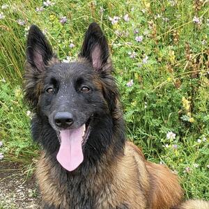 Bijay ad Multos Annos