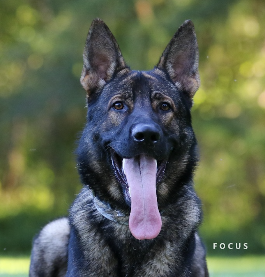 Heyco vom Weinbergblick