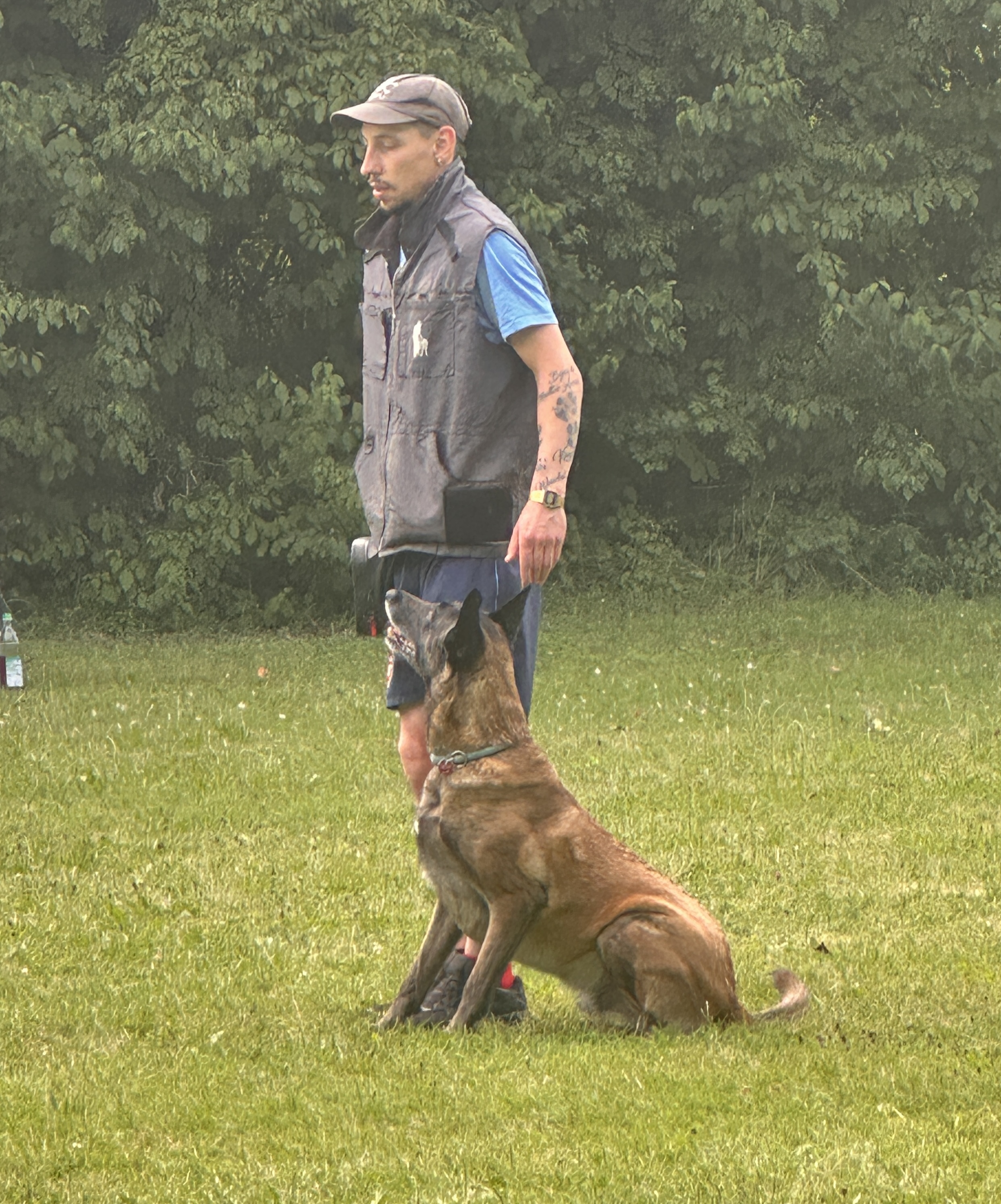 Individuelles Hundetraining auf dem Vereinsgelände