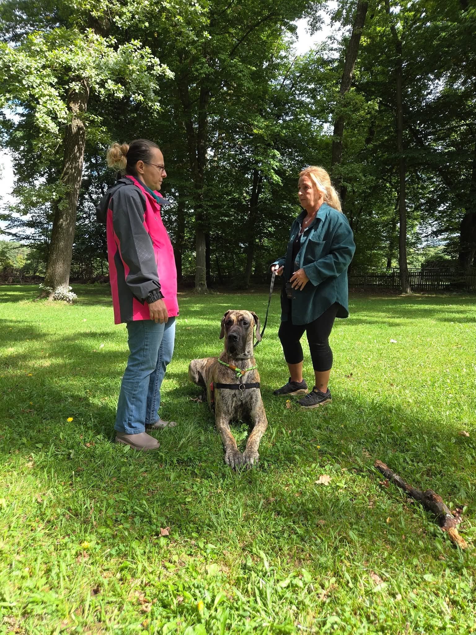 Individuelles Hundetraining