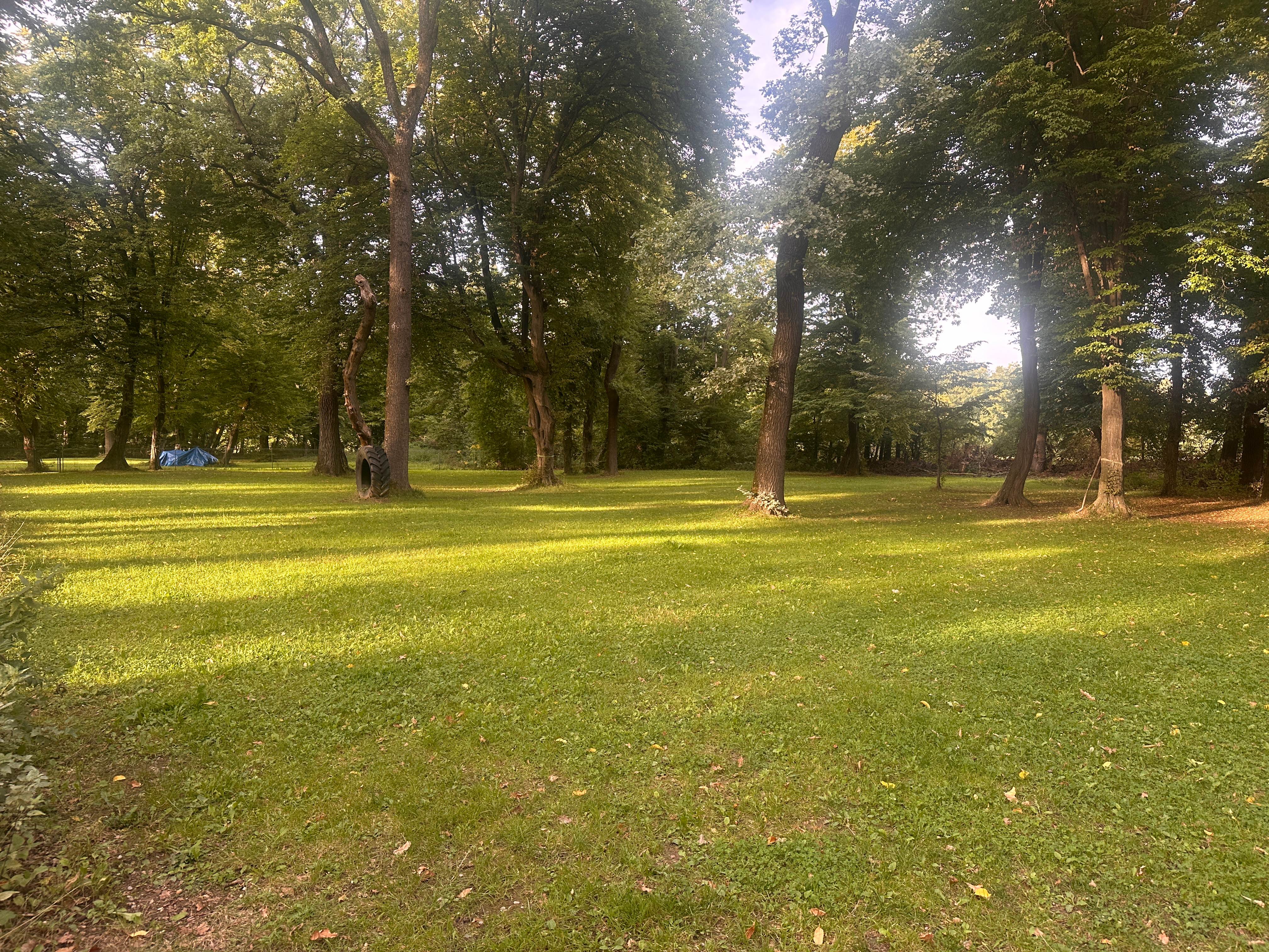 Vereinsgelände Gräfelfing