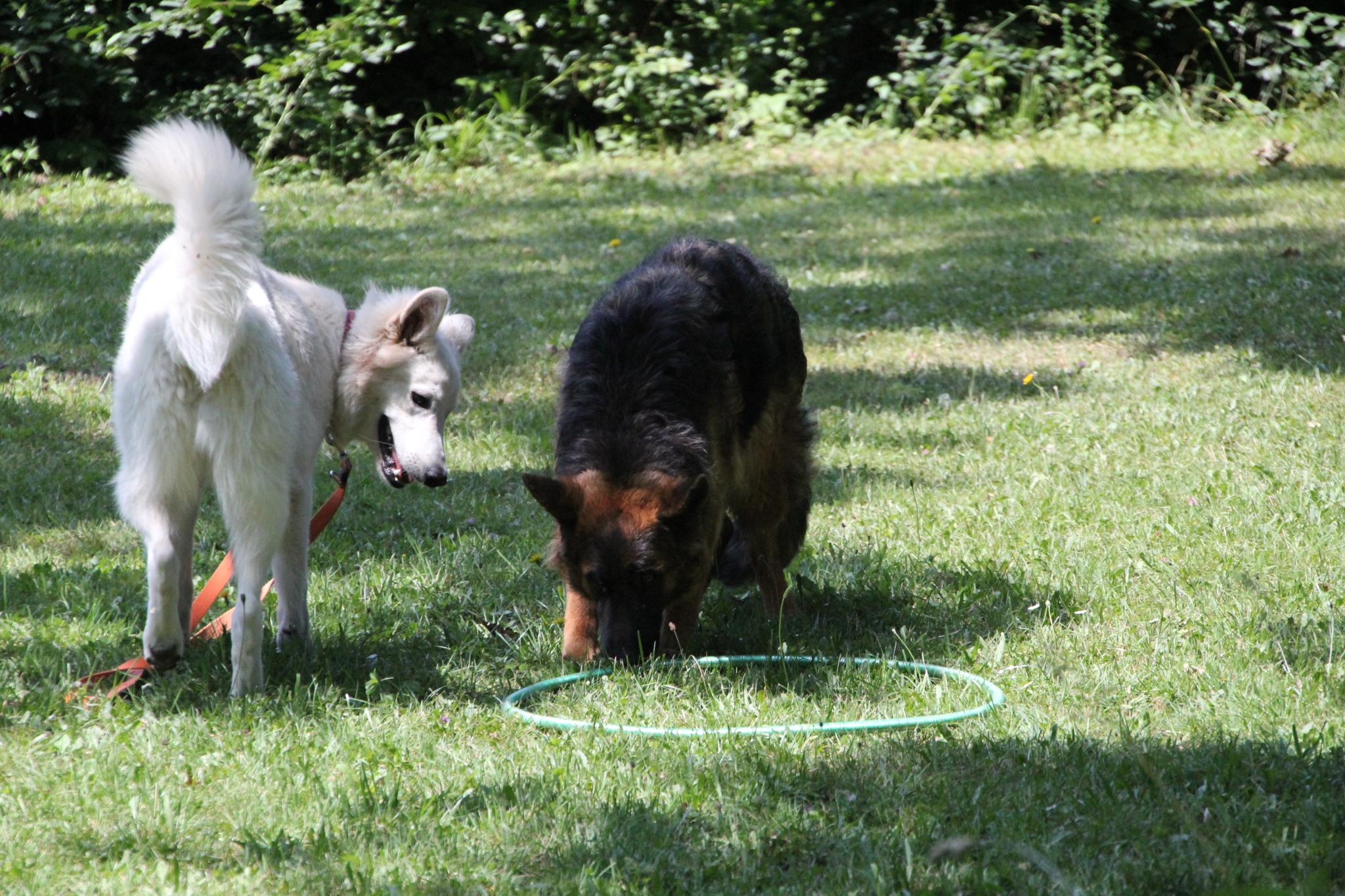 Konzentration und Fokus