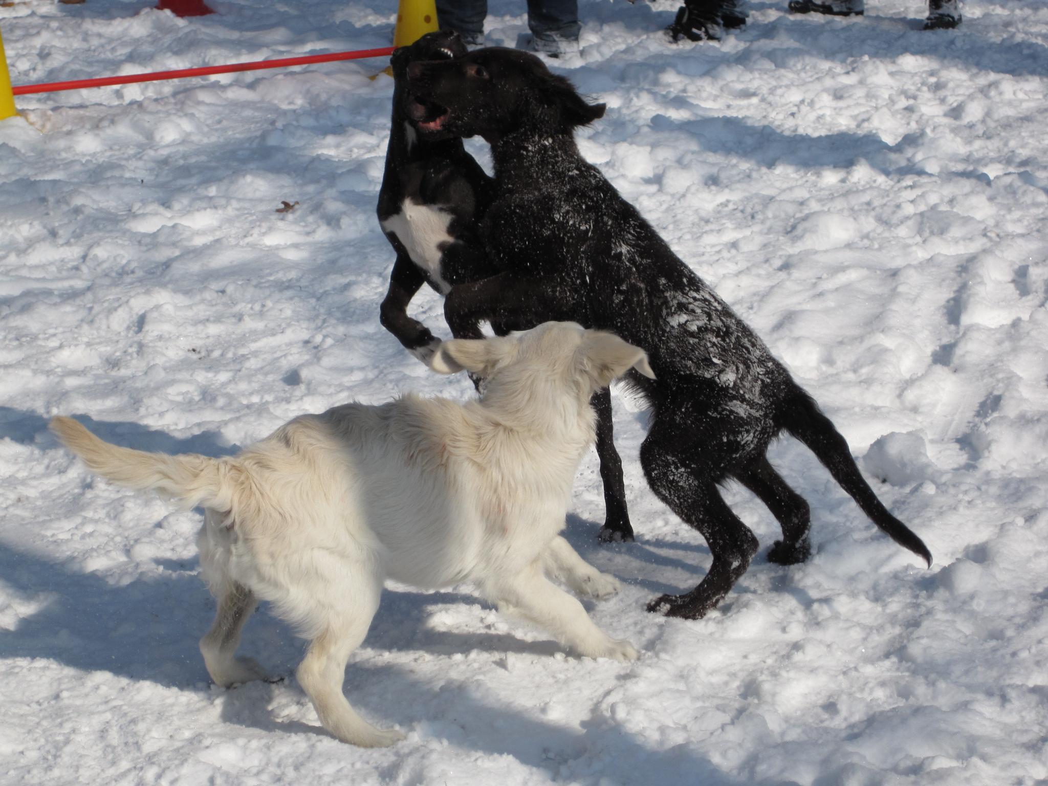 Selbstvertrauen aufbauen