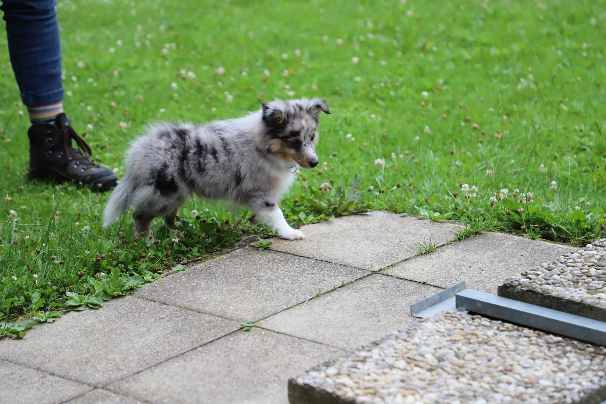 Sozialisierung und Spiel