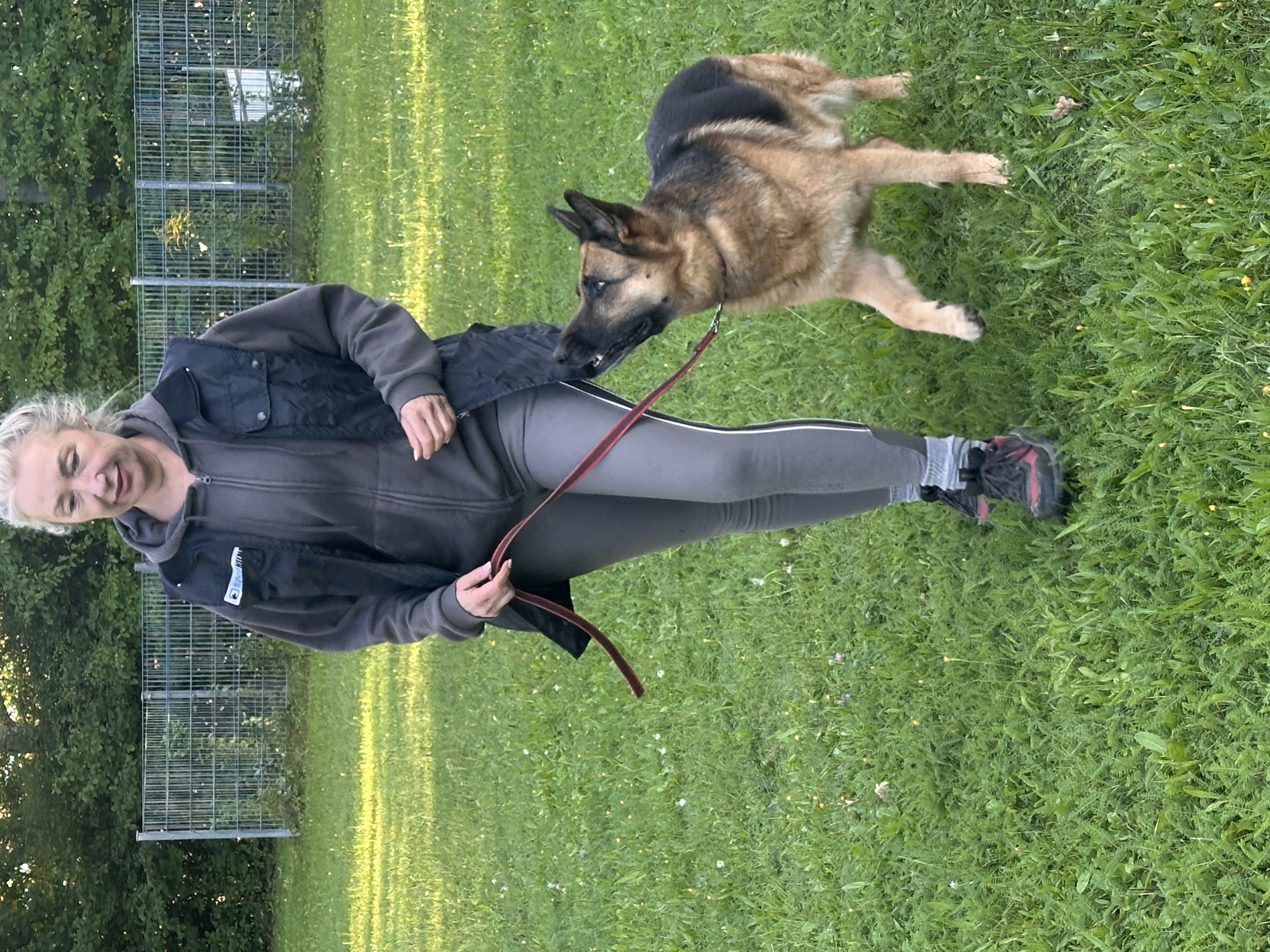 Trainerin mit Deutschem Schäferhund