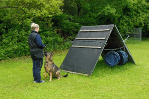 Cessy vom Räuberhaus - In Gedenken