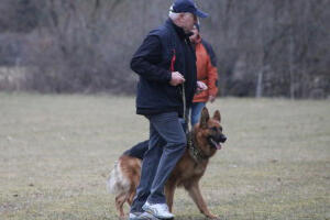 Hasko vom Karlsfelder Hof - In Gedenken